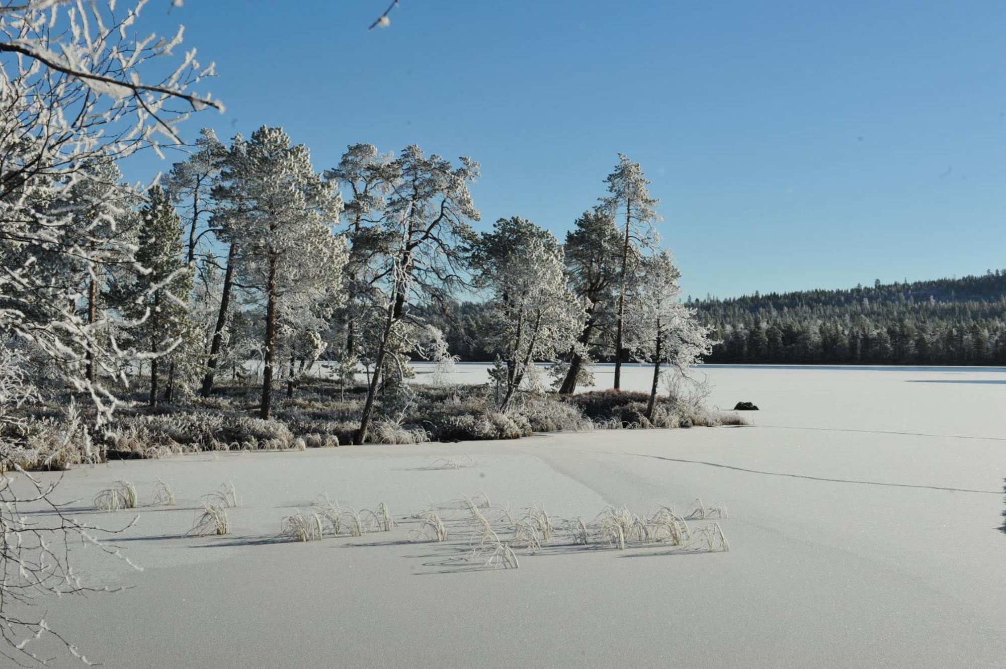 Auroracabin Chalets Saariselka Ruang foto