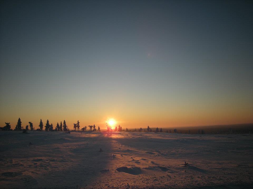 Auroracabin Chalets Saariselka Bagian luar foto