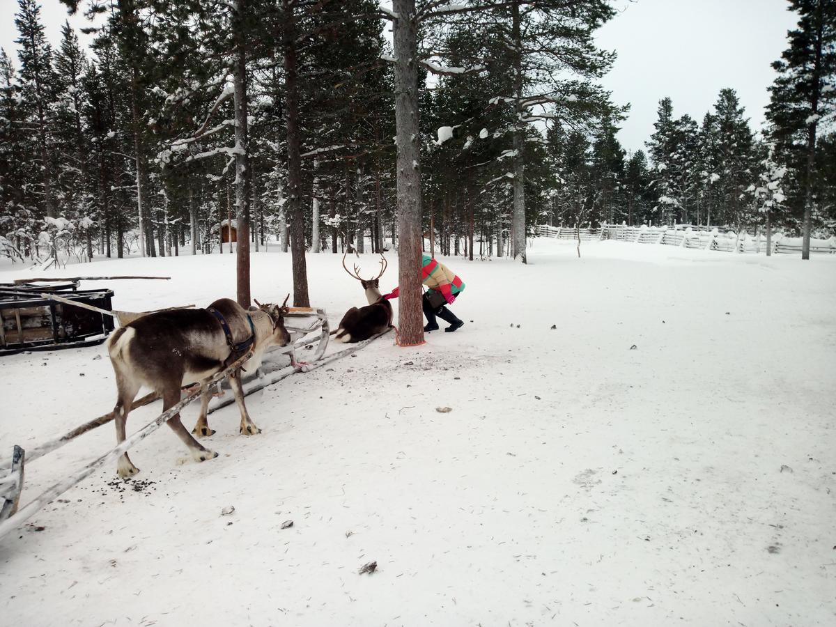 Auroracabin Chalets Saariselka Bagian luar foto